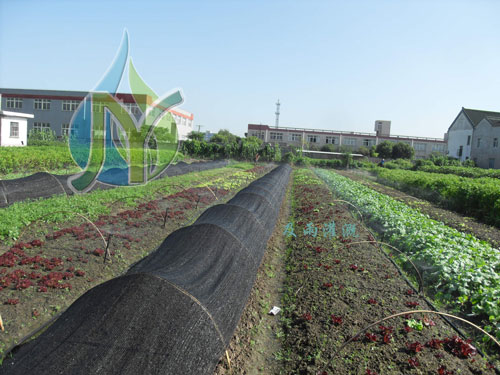 上海金山亭林農田灌溉施工